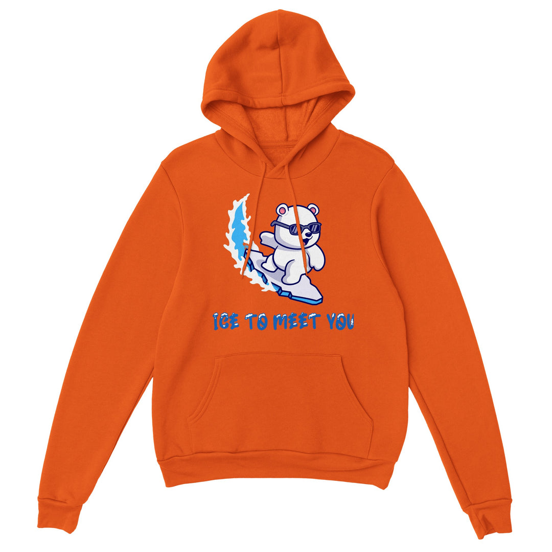 Classic Unisex Pullover Hoodie "Ice To Meet You"