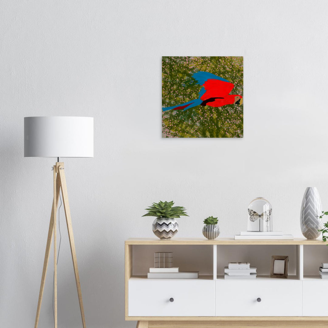 Wood Prints - Parrot Colourful