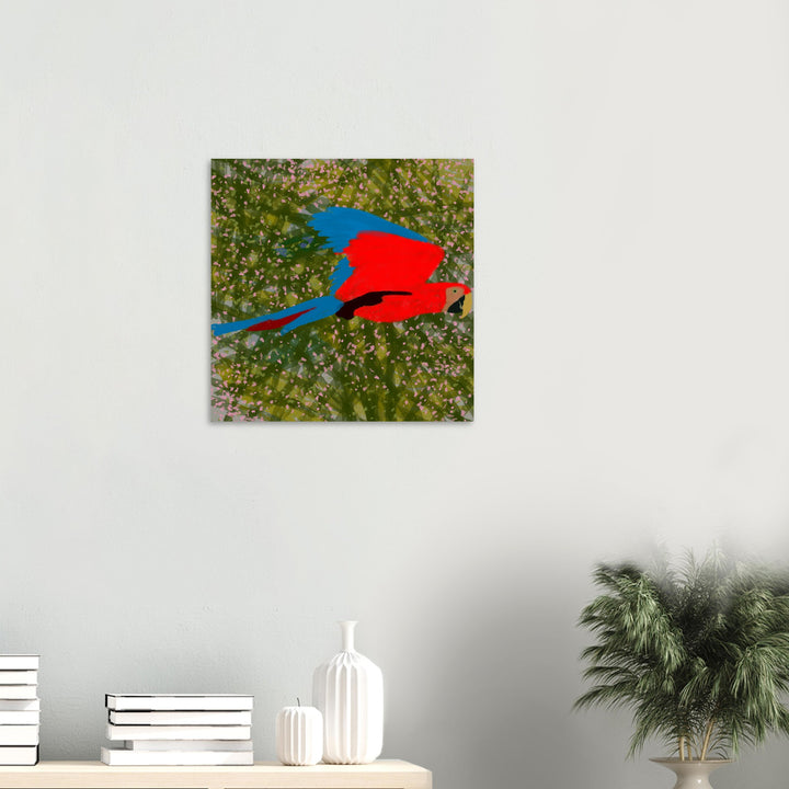 Aluminum Print - Parrot Colourful