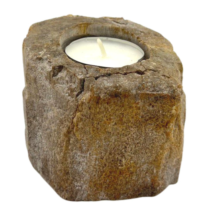 Petrified Wood Candle Holder - Single