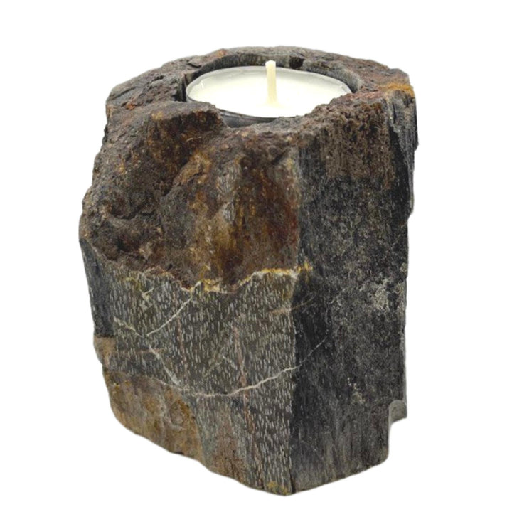 Petrified Wood Candle Holder - Single