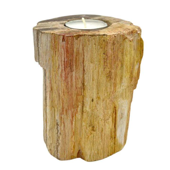 Petrified Wood Candle Holder - Single