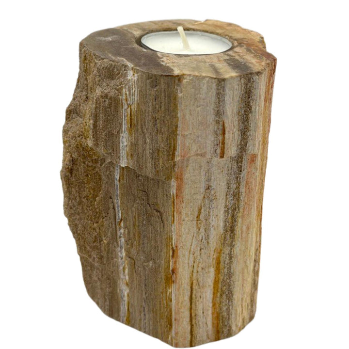 Petrified Wood Candle Holder - Single