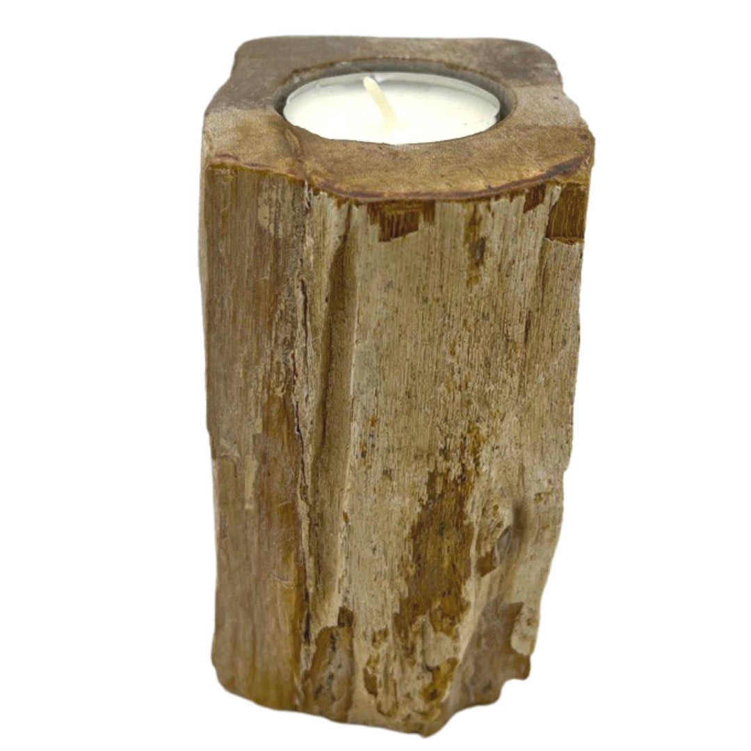 Petrified Wood Candle Holder - Single