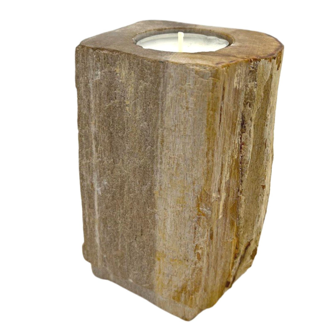 Petrified Wood Candle Holder - Single