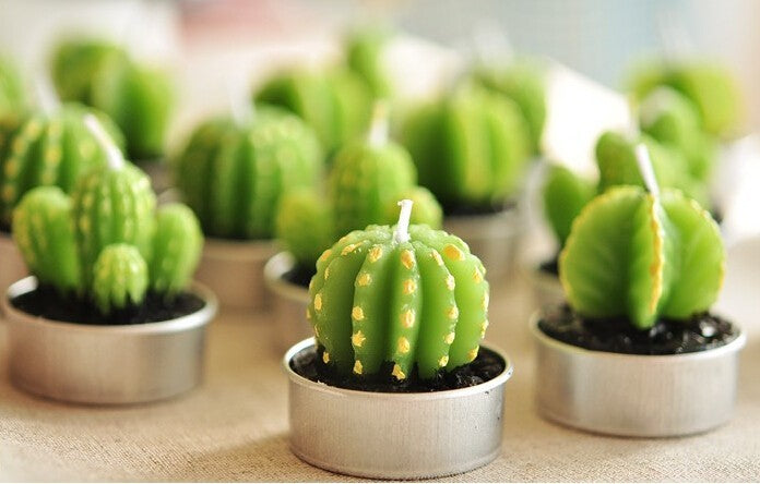 Set of 6 Monks Cactus Tealights in Gift Box