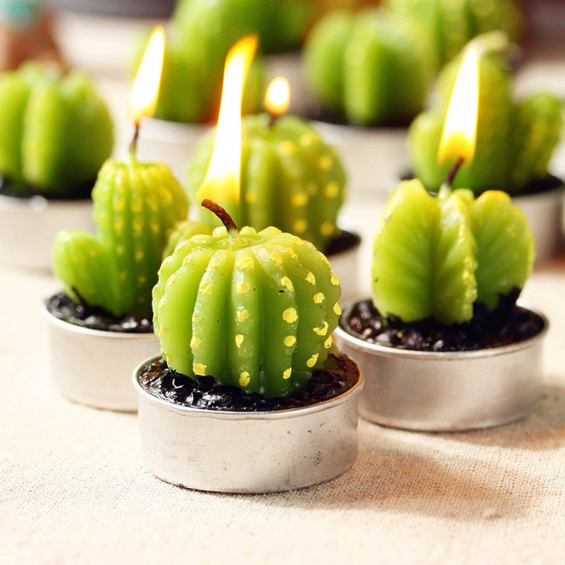 Set of 6 Monks Cactus Tealights in Gift Box